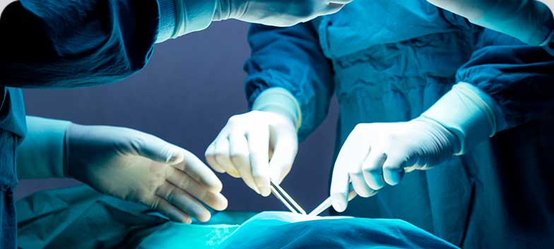 O que é a Proctologia?