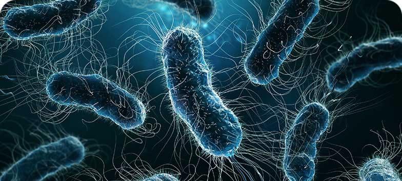 Infeção pela Helicobacter pylori